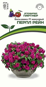 Бальзамин_Перпл Рейн F1 (махровый )_5_шт._Партнер