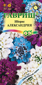 Иберис_Александрия см (Альпийская горка)_0,1_г._Гавриш