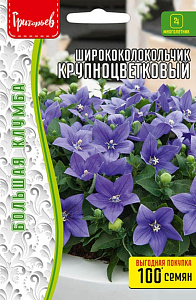Колокольчик_Ширококолокольчик Крупноцветковый (платикодон) б/ф_0,13_г._Григорьев