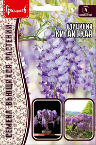 Глициния_Китайская б/ф_3_шт._Григорьев