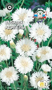 Василек_Адигель (белый)_0,04_г._Седек