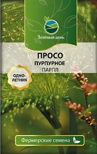 Просо декоративное_Пурпурное Парпл (злак) б/ф_80_шт._Григорьев