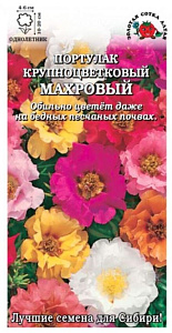 Портулак_Махровый Крупноцветковый см_0,04_г._Золотая Сотка Алтая