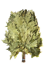 Веник дубовый КАНАДСКИЙ ПРОМО