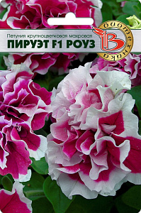 Петуния_Пируэт F1 Роуз (махр)_10_шт._Биотехника
