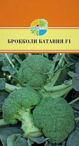 Капуста_брокколи_Батавия F1_15_шт._Акварель