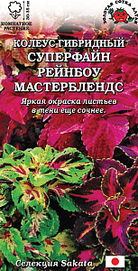 Колеус_Суперфайн Рейнбоу Мастербленд см_10_шт._Золотая Сотка Алтая