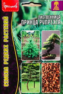 Лиственница_Принца Рупрехта б/ф_15_шт._Григорьев
