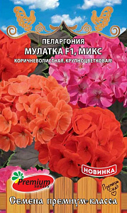 Герань (Пеларгония)_Мулатка F1 микс_5_шт._Премиум Сидс