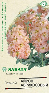 Левкой (маттиола)_Айрон Абрикосовый (Sakata)_0,04_шт._Гавриш