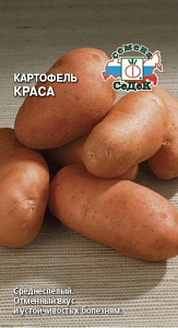 Картофель_Краса (красная) (ср)_0_г._Седек