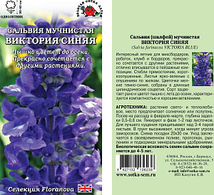 Сальвия_Виктория Синяя (мучнистая)_10_шт._Золотая Сотка Алтая