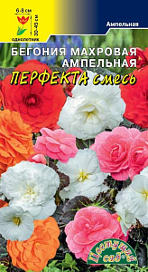 Бегония_Перфекта см_10_шт._Цветущий Сад