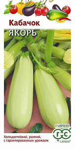 Кабачок_Якорь  Б/П_1,5_г._Гавриш