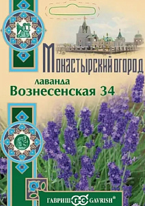Лаванда_Вознесенская 34 (Монастырский огород) б/ф_0,04_г._Гавриш
