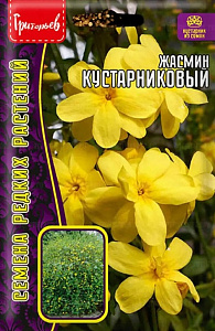 Жасмин_Кустарниковый б/ф_5_шт._Григорьев