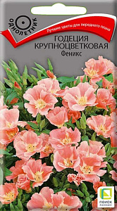 Годеция_Феникс_0,04_г._Поиск