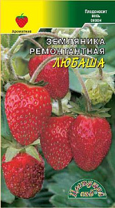 Земляника_Любаша_0_г._Цветущий Сад