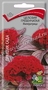 Целозия_Императрица (гребенчатая)_0,1_г._Поиск