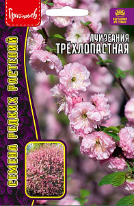 Миндаль_Луизиания (миндаль трехлопастный) б/ф_3_шт._Григорьев