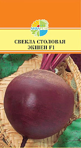 Свекла_Экшен F1_0,5_г._Акварель