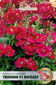 Львиный зев (антирринум)_Твинни F1 Виолет махр_15_шт._Биотехника