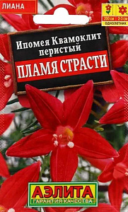Ипомея_Пламя Страсти (лидер) (квамоклит)_0,04_шт._Аэлита