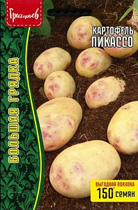 Картофель_Пикассо б/ф_0,1_г._Григорьев