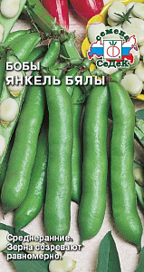 Бобы_Янкель Бялы_10_г._Седек