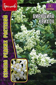 Бирючина_Квихоу (Ligustrum quihoui) б/ф_10_шт._Григорьев