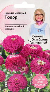 Цинния_Тюдор_0,5_г._АгроСидсТрейд