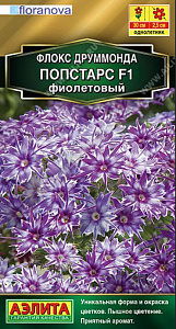 Флокс_Попстарс F1 Фиолетовый (Floranova Золотая серия)_0,04_шт._Аэлита
