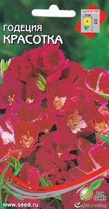 Годеция_Красотка_0,04_шт._Дом Семян С-П