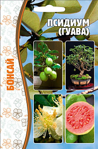 Псидиум_Гуава Бонсай б/ф_10_шт._Григорьев