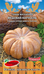 Тыква_Медовая Карусель (мускатная)_5_шт._Премиум Сидс