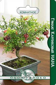 Гранат_карликовый Нана_5_шт._Биотехника