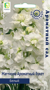 Левкой (маттиола)_Ароматный букет Белый (Ароматный сад)_0,04_г._Поиск