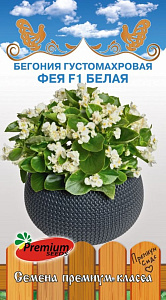 Бегония_Фея F1 Белая (густомахровая вечноцв)_5_шт._Премиум Сидс