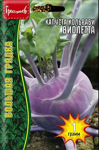Капуста_кольраби_Виолетта б/ф_1_г._Григорьев