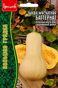 Тыква_Мускатная Баттернат б/ф_5_шт._Григорьев