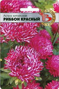 Астра_Риббон Красный (пионовидная)_30_шт._Биотехника