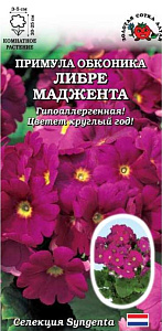 Примула_Либре F1 Маджента_5_шт._Золотая Сотка Алтая