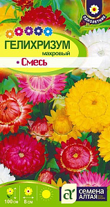 Гелихризум (бессмертник)_Махровый см (Сухоцветы)_0,2_г._Семена Алтая