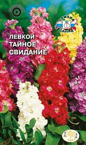 Левкой (маттиола)_Тайное свидание см_0,1_г._Седек
