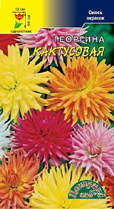 Георгин_Кактусовая см_0,2_г._Цветущий Сад