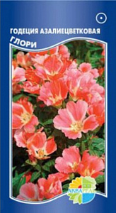 Годеция_Азалиецветковая Глори_0,1_г._Акварель