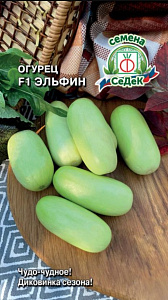 Огурец_Эльфин F1_0,15_г._Седек