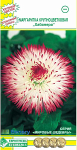 Маргаритка_Хабанера Бело-Розовая (Мировые Шедевры)_0,04_шт._ЕВРОСЕМЕНА