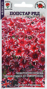 Флокс_Попстар F1 Ред_0,04_шт._Золотая Сотка Алтая