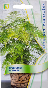 Гревиллея_Робуста_5_шт._Поиск